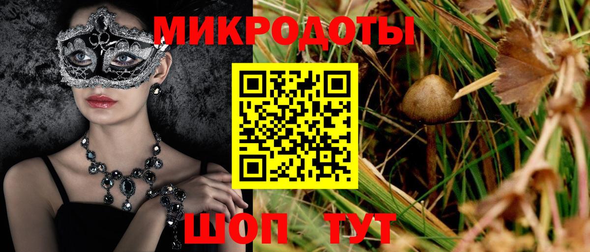 ГАШ Лесной